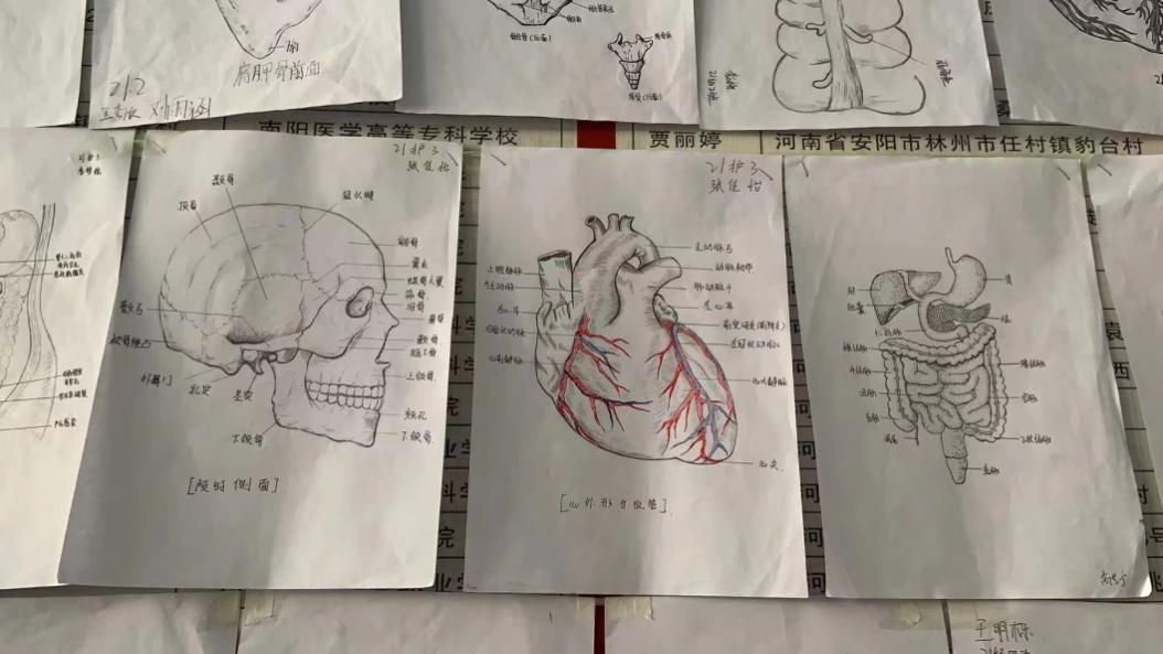 焦作護(hù)理學(xué)校質(zhì)量年度報告（2023年）(1)(1)(1)-8